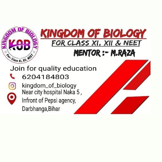 Kingdom Of Biology