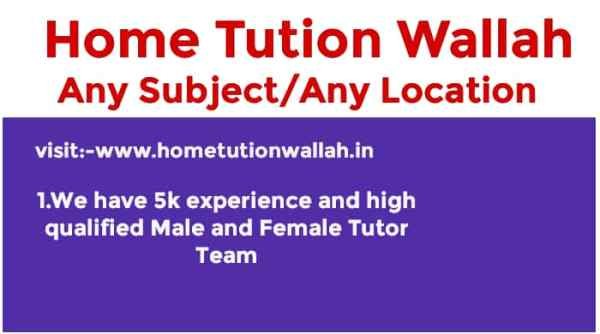 Home Tution Wallah Darbhanga 7258036244