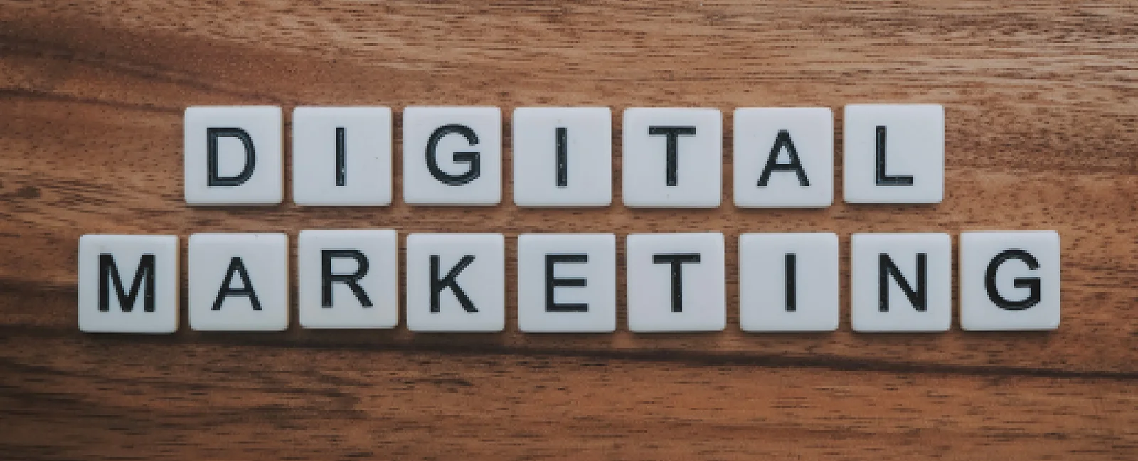 Best Digital Marketing Company In Madhubani 8434427817