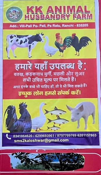 Best Animal Husbandry Fram in Ranchi 8210059614